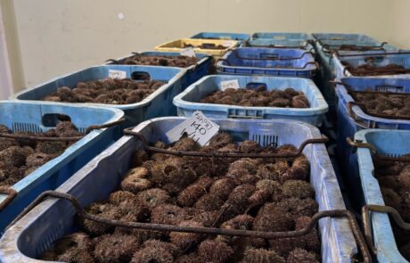 IMG-1764060728942803