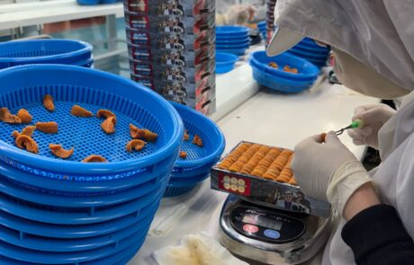 IMG-1764060781887136