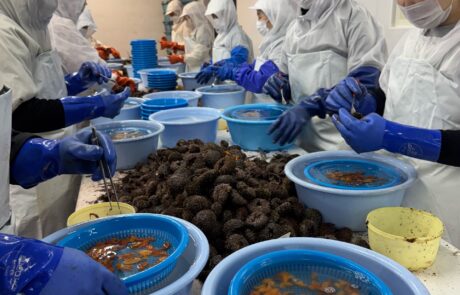 IMG-1764060782260858